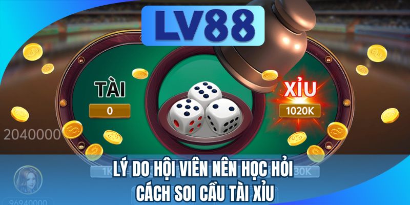 Lý do hội viên nên học hỏi cách soi cầu tài xỉu