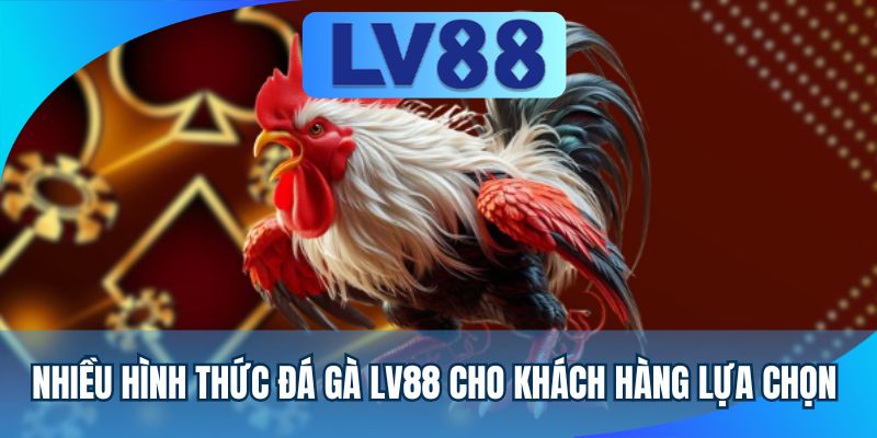 Nhiều hình thức đá gà LV88 cho khách hàng lựa chọn